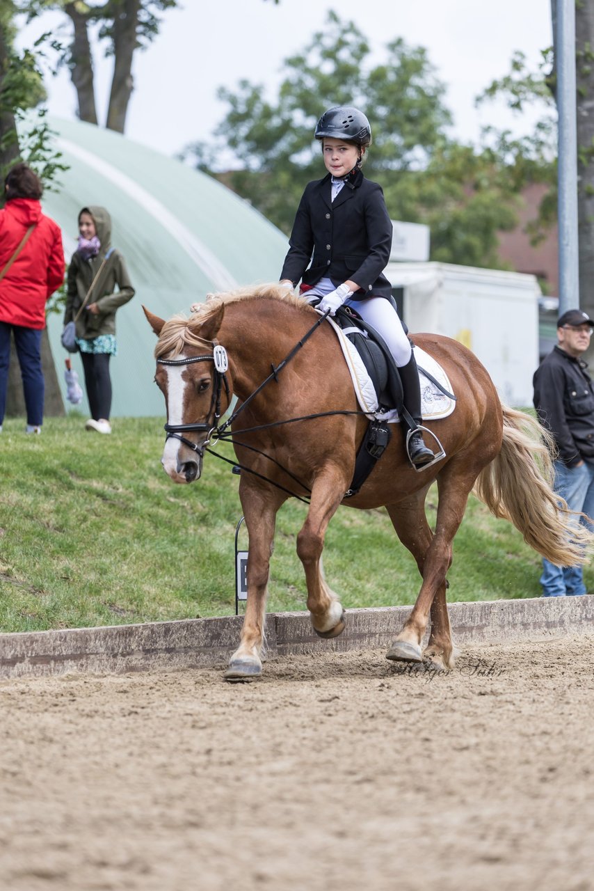 Bild 240 - Pony Akademie Turnier